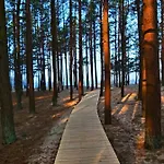 Apartman Zalia Kopa 200m To Beach, Kunigiskes Pine Forest, Private Yard & Terrace