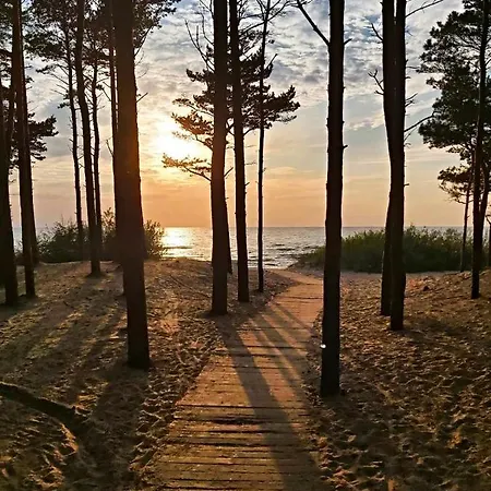 Zalia Kopa 200m To Beach, Kunigiskes Pine Forest, Private Yard & Terrace 아파트 팔랑가