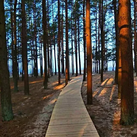 아파트 Zalia Kopa 200m To Beach, Kunigiskes Pine Forest, Private Yard & Terrace