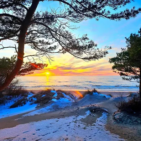 Zalia Kopa 200m To Beach, Kunigiskes Pine Forest, Private Yard & Terrace Palanga