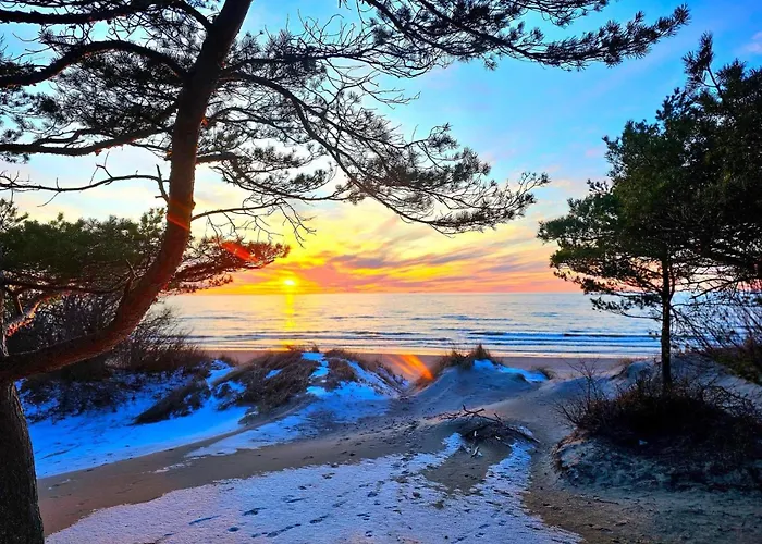 Zalia Kopa פלאנגה